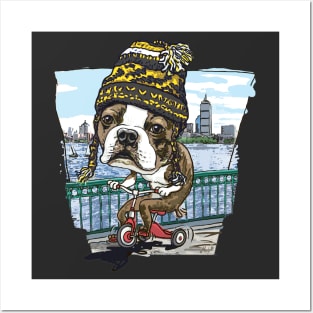 Boston Terrier Dog with Black and Yellow Winter Beanie Posters and Art